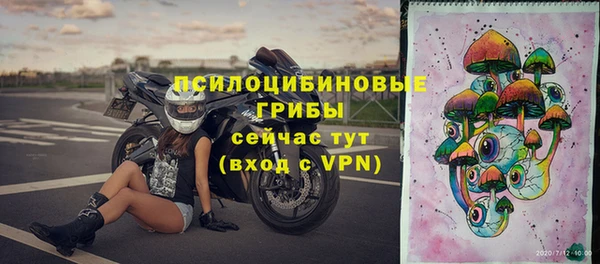 крисы Беломорск