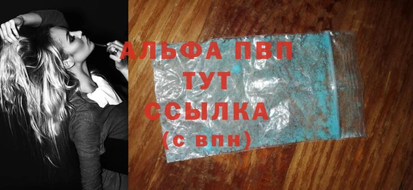 спиды Богородск