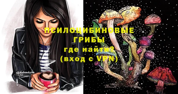 спиды Богородск
