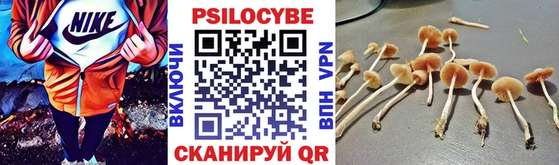 Псилоцибиновые грибы Psilocybe  mega ONION  Маркс 