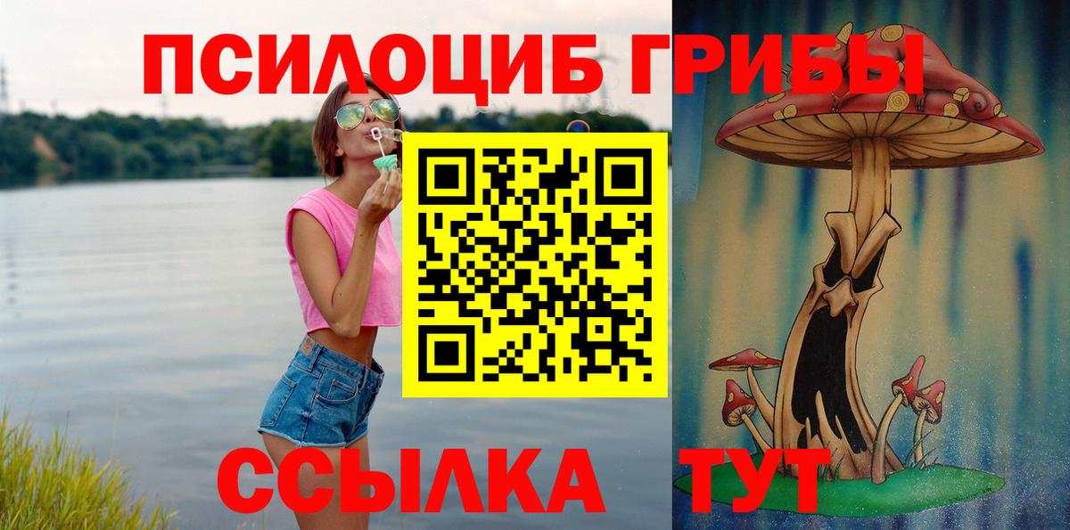 Галлюциногенные грибы Psilocybe Маркс